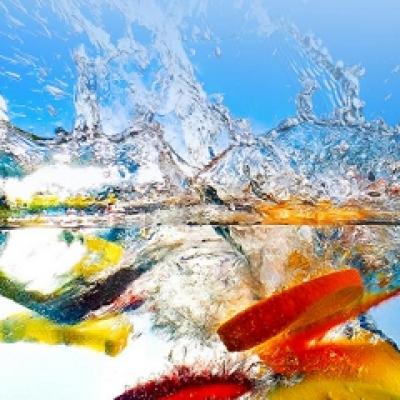 Te-ai inscris la workshopul Kudika?