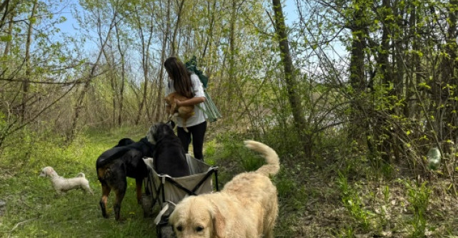 Raluka are grijă de cei 10 câini. Cum arată o după amiază din rutina vedetei, atunci când iese în natură cu prietenii blănoși
