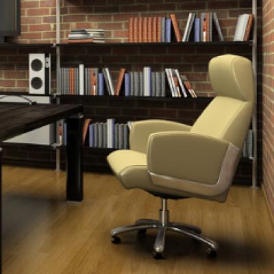 Top 10 fotolii pentru birou