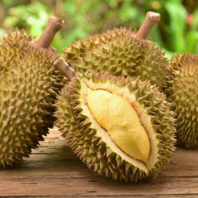 Fructul durian: Beneficii pentru sanatate
