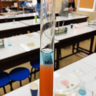 Johnson & Johnson România lansează WiSTEM2D, un program de orientare în carieră pentru elevii din clasele gimnaziale și liceale 