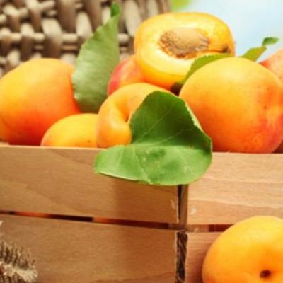 Caisele, fructele cu ENERGIA SOARELUI: Afla 5 BENEFICII extraordinare pentru organismul uman ale caiselor!