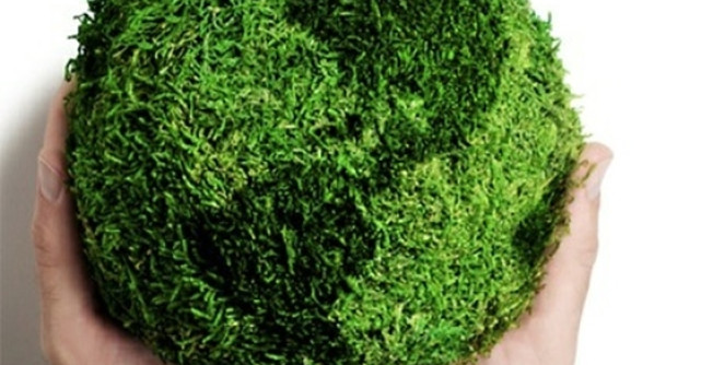 De Ziua Mondiala a Mediului economiseste cu Arctic