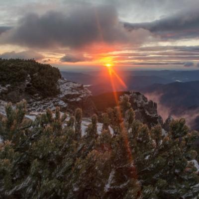 Wall-Street: Sapte motive pentru care ar trebui sa ne mutam cu totii in Romania