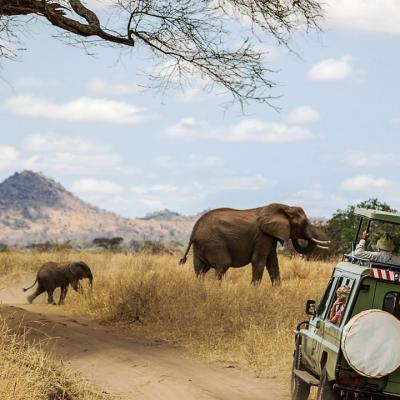 Zanzibar: Aventuri incredibile și descoperiri uimitoare în inima Africii