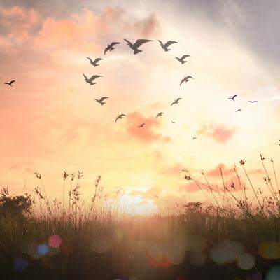 Cele mai frumoase citate despre speranță: “Nu lipsi pe nimeni de speranță - poate fi tot ce are”