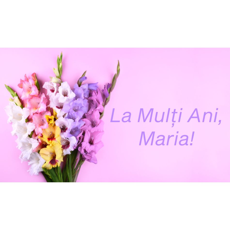        Felicitări de Sfânta Maria
