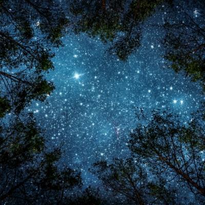 9 Lectii de viata nemuritoare de invatat din natura