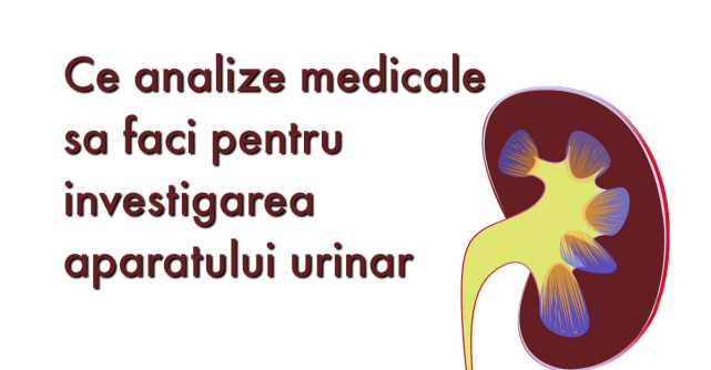 Analize medicale pentru RINICHI