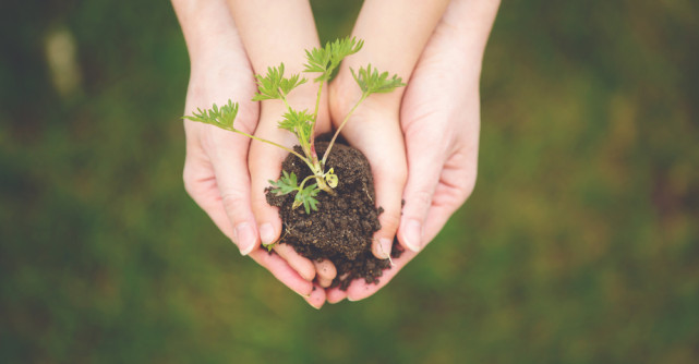 Vibratia saptamanii: Samanta si Pamant