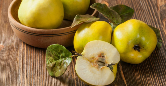 Beneficiile frunzelor de gutui pentru sanatate