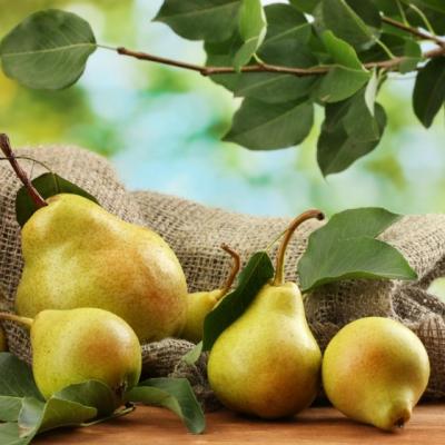 Iata de ce este bine sa mananci o para in fiecare zi