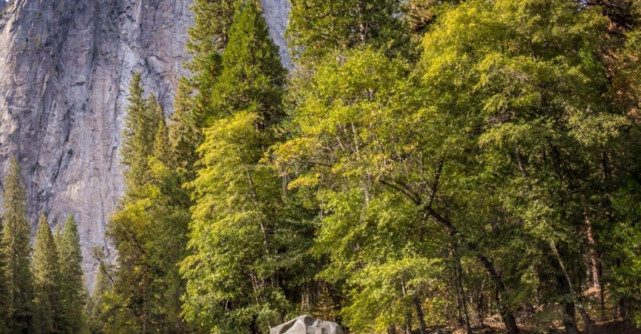 Tommy Hilfiger accelereaza in cursa sustenabilitatii prin programul  Make it possible