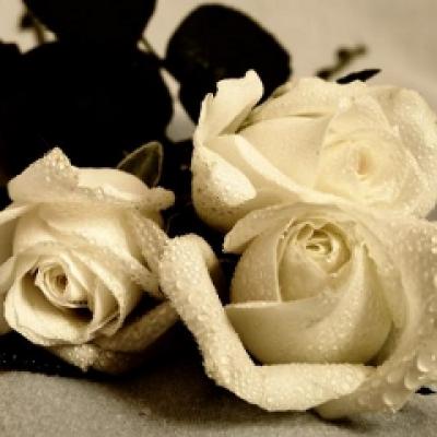 Natale...mirosul Craciunului