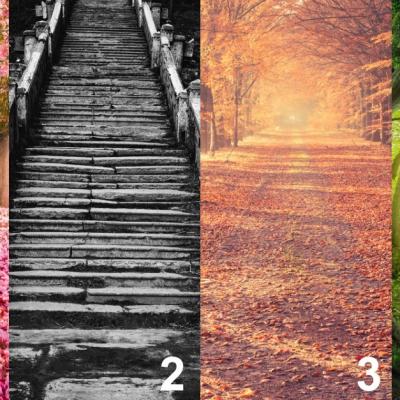 Cararea pe care o alegi iti dezvaluie personalitatea si viitorul