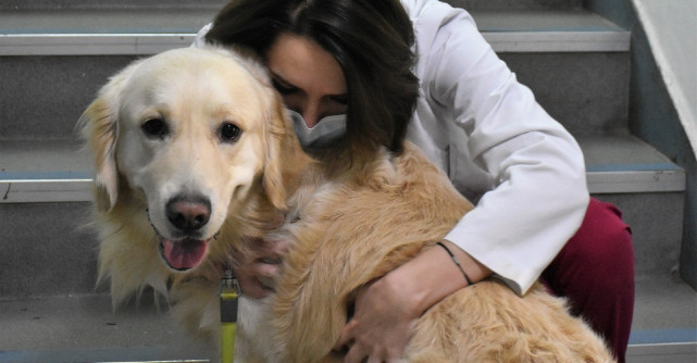 Totul pentru animale și despre animale într-un singur loc: 13-15 mai 2022 ”Zilele Facultății de Medicină Veterinară”  