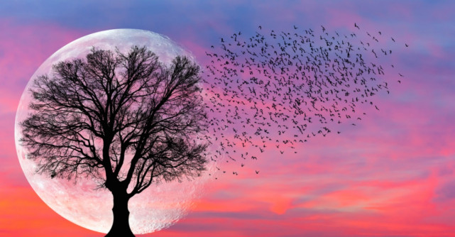 Luna Nouă în Berbec de pe 24 martie ne pregătește sufletul pentru începuturi și drumuri noi