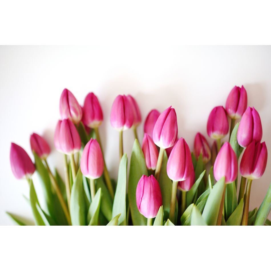  Despre greutatile din viata