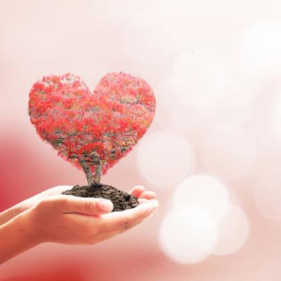 Incredibila Harta EMOTIONALA a DURERILOR: despre somatizarea sentimentelor