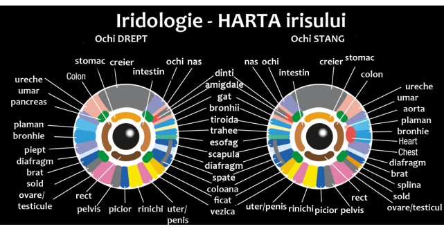 Iridologia - HARTA sanatatii din ochii tai