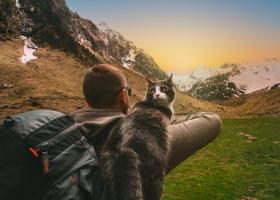 Prietenie fără margini! Un ucrainean a fost salvat de pisica sa, după ce a stat timp de 8 zile blocat în munți