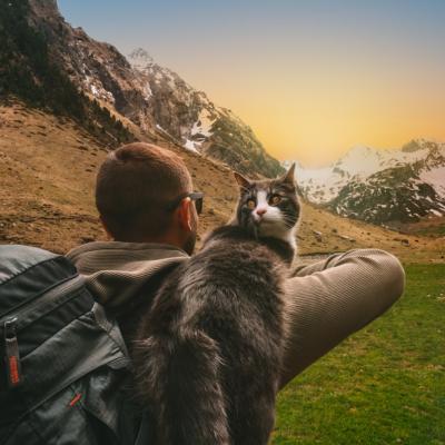 Prietenie fără margini! Un ucrainean a fost salvat de pisica sa, după ce a stat timp de 8 zile blocat în munți