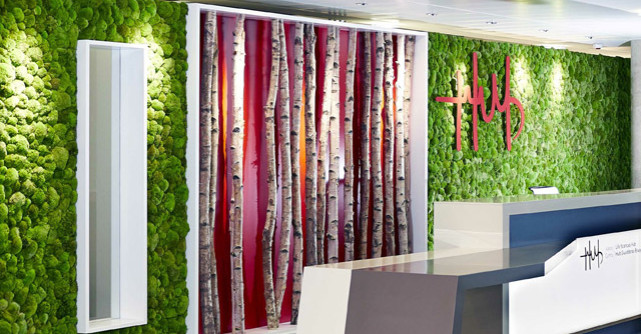 Cum sa folosesti in interiorul locuintei tale muschi natural