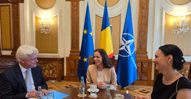Prima Doamnă a României, Mirabela Grădinaru, s-a întâlnit marți cu o delegație UNICEF