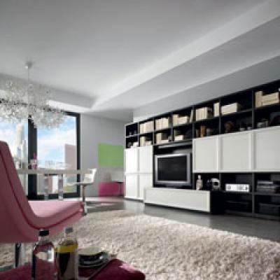 Tendintele anului 2012 in amenajari