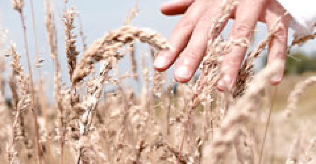 9 Alegeri care iti lungesc viata cu cel putin 15 ani