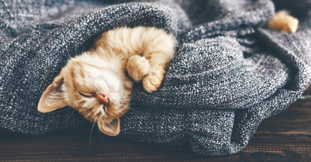 Cum sa ai un somn linistit? Alimentele pe care nu trebuie sa le mananci inainte de culcare