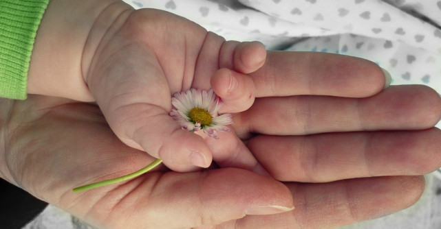 13 lucruri foarte interesante pe care nu le vei mai putea uita niciodată