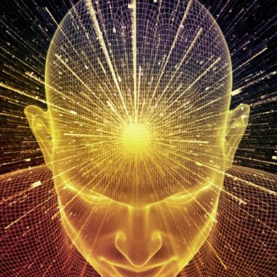 Descoperirea care ar putea explica inteligenta unica a oamenilor