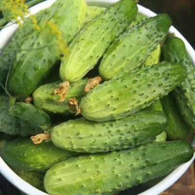 Dieta cu castravete sau cum poti slabi 2 kg in 2 zile