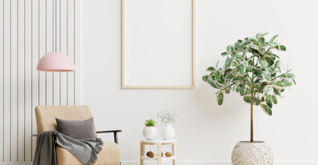 Cum faci un refresh de design interior cu costuri minime