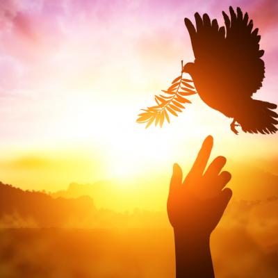 Zece citate care te vor ajuta să îți amintești ce contează în viață