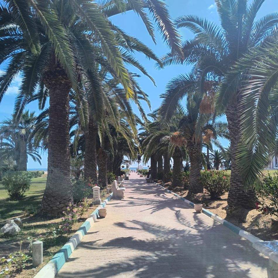 Ce nu îți spune nimeni despre vacanța în Tunisia. Cum m-a cucerit prin oamenii, culorile și atmosfera ei autentică