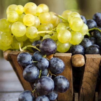 Câte calorii au strugurii și ce beneficii aduc sănătății noastre?