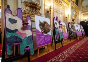 Miaunismul: un nou curent în artă inspirat de creativitatea pisicilor