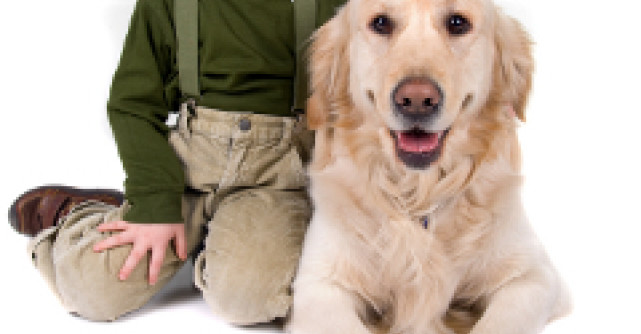 Problema cainilor maidanezi: eutanasie versus sterilizare