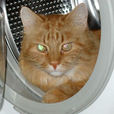 Cum spalau gospodinele rufe in urma cu 100 de ani. O scurta istorie a hainelor curate