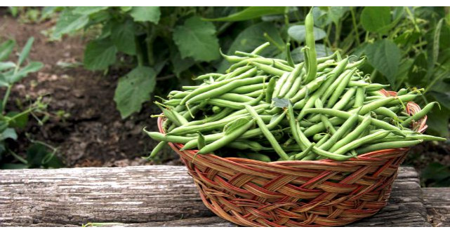 Este una dintre cele mai ieftine legume. Iata ce beneficii aduce sanatatii