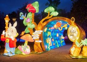Număr impresionant de vizitatori la expoziția Grădina Luminilor organizată în Grădina Botanică Dimitrie Brandza București