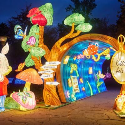 Număr impresionant de vizitatori la expoziția Grădina Luminilor organizată în Grădina Botanică Dimitrie Brandza București