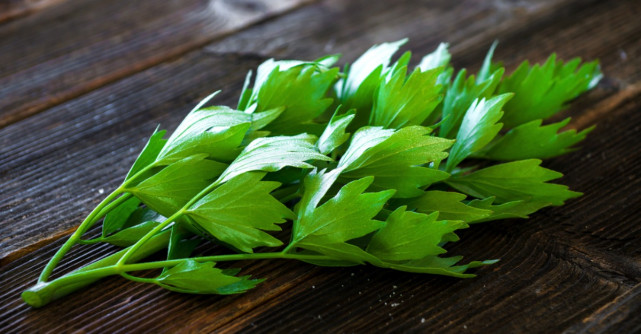 Leusteanul: Beneficii mai putin cunoscute pentru sanatate