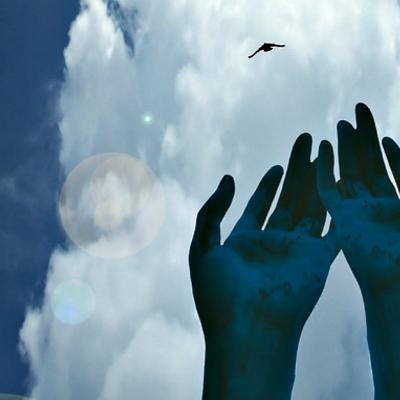 Unde grăbești timpul? Ai răbdare și, între timp, bucură-te de acest drum