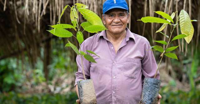 FOREO planteaza mii de copaci cu ajutorul clientilor sai