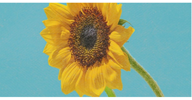  RAZI îmbină eleganța și farmecul în noua piesă VINTAGE