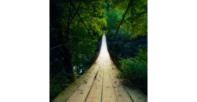 2 capre treceau un pod... Un super test de psihologie relationala pe care trebuie sa-l faci! 