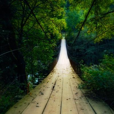 2 capre treceau un pod... Un super test de psihologie relationala pe care trebuie sa-l faci! 